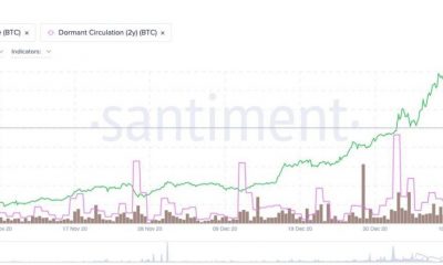 ¿Por qué los comerciantes seguirán comprando Bitcoin hasta los $ 40000?