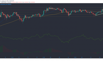 Análisis de precios de Cardano, Cosmos, Dogecoin: 31 de enero