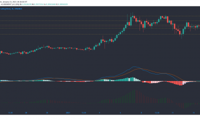 Cardano, Synthetix, Cosmos Análisis de precios: 13 de enero