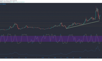 Bitcoin Cash, Basic Attention Token, Análisis de precios de DigiByte: 12 de enero