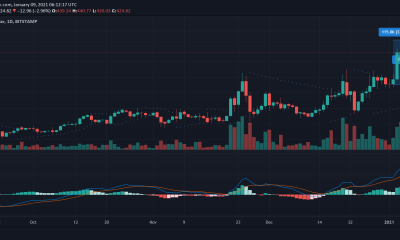 Bitcoin Cash, Polkadot, Análisis de precios DASH: 09 de enero