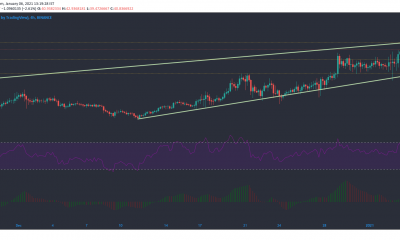 Binance Coin, IOTA, Dogecoin Análisis de precios: 06 de enero