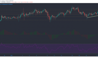 Binance Coin, Synthetix, Zcash Análisis de precios: 27 de enero