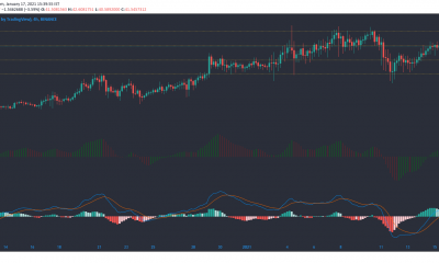 Análisis de precios de Binance Coin, Dash, Synthetix: 17 de enero