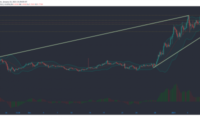 Análisis de precios de Polkadot, VeChain, Algorand: 10 de enero