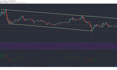 Análisis de precios de monedas de EOS, Waves, Crypto.com: 04 de enero