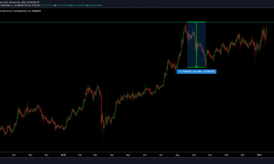 ¿Cómo están subiendo su precio las ballenas de Chainlink?