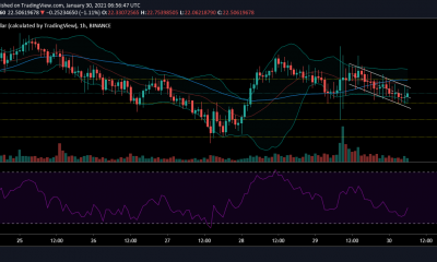 Análisis de precios de Chainlink: 30 de enero