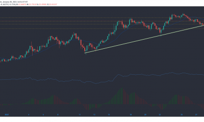 Chainlink, Crypto.com Coin, análisis de precios de IOTA: 30 de enero