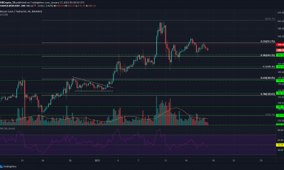 Bitcoin Cash, Zcash, Decred Price Analysis: 17 de enero