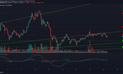 Tron, Ethereum Classic, análisis de precios de IOST: 15 de enero