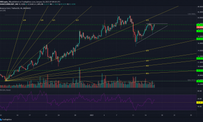 Binance Coin, Steem, análisis de precios compuestos: 16 de enero