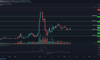 Bitcoin SV, Maker, Análisis de precios de Dash: 18 de enero