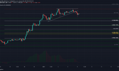 Análisis de precios de Polkadot, Monero, Ethereum Classic: 08 de enero