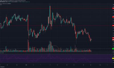 Monero, Ontología, Análisis de precios de Dogecoin: 28 de enero