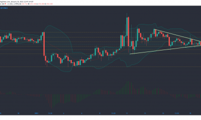 Monero, Ethereum Classic, Análisis de precios de Dogecoin: 19 de enero