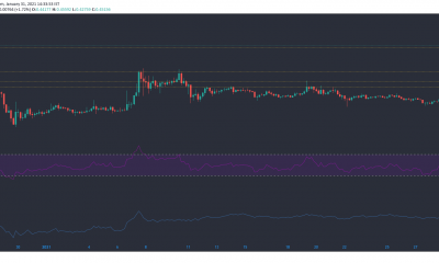 Análisis de precios de XRP, Aave, IOTA: 31 de enero