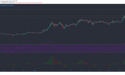 Cardano, Ontología, Análisis de precios de Zcash: 06 de febrero