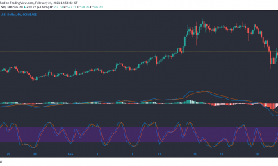 Bitcoin Cash, Ontology, Dash Price Analysis: 24 de febrero