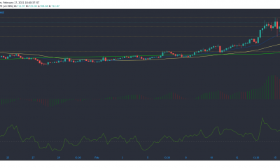 Análisis de precios de Bitcoin Cash, Synthetix, Dogecoin: 17 de febrero