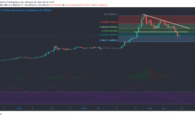 Binance Coin, Waves, Análisis de precios de Zcash: 23 de febrero