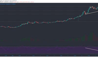 Binance Coin, Compuesto, Análisis de precios Decred 07 de febrero