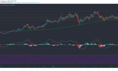 Binance Coin, Compuesto, Análisis de precios Decred: 01 de febrero