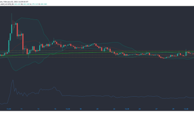 Bitcoin SV, token de atención básica, análisis de precios de Zcash: 02 de febrero