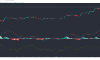 Polkadot, Token de atención básica, Análisis de precios de IOTA: 17 de febrero