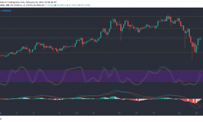 Análisis de precios de Chainlink, Cosmos, Enjin: 24 de febrero