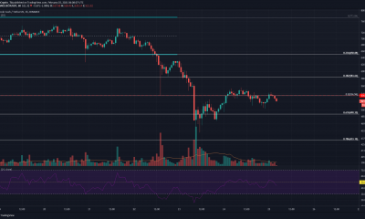 Bitcoin Cash, Algorand, análisis de precios nano: 25 de febrero