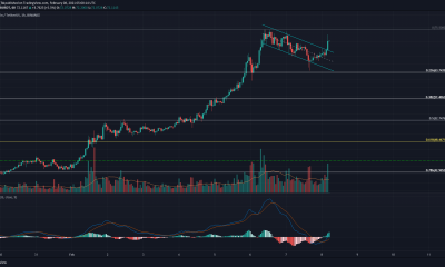 Análisis de precios de Binance Coin, Cosmos y Dogecoin: 08 de febrero