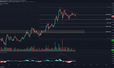 Chainlink, Waves, análisis de precios nano: 19 de febrero