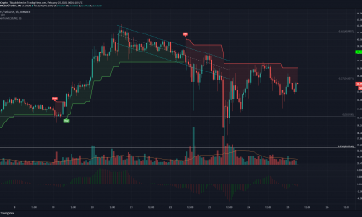 Polkadot, Ethereum Classic, análisis de precios de IOST: 25 de febrero