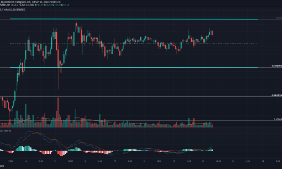 Análisis de precios de Bitcoin Cash, BitTorrent, DigiByte: 20 de febrero