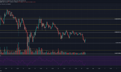 Binance Coin, EOS, BAT Análisis de precios: 28 de febrero