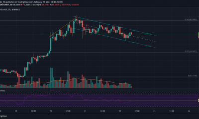 Análisis de precios de Polkadot, Tron, Ethereum Classic: 22 de febrero