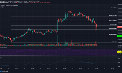 Análisis de precios de Cardano: 22 de febrero