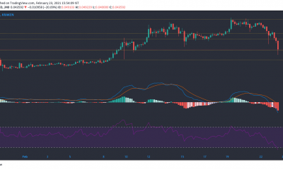 Análisis de precios de Tron, Neo, Ethereum Classic: 23 de febrero