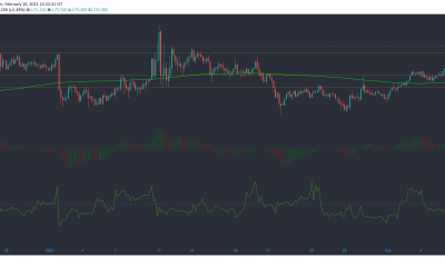 Monero, IOTA, Decred Price Analysis: 10 de febrero