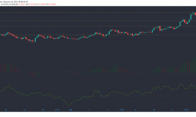 Chainlink, NEM, Análisis de precios de Enjin: 16 de febrero