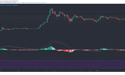 Binance Coin, Monero, Algorand Análisis de precios: 07 de marzo