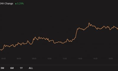 Análisis de precios de XRP, Cosmos y Elrond: 07 de marzo