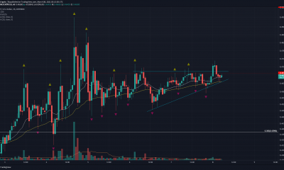 Análisis de precios de XRP, Aave, Dogecoin: 08 de marzo