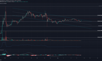 Análisis de precios de XRP, Bitcoin SV, Elrond: 13 de marzo