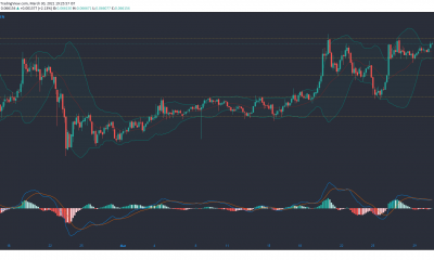 Tron, Ontology, Análisis de precios de Dogecoin: 30 de marzo