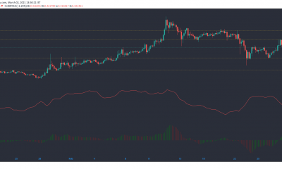 Stellar Lumens, Algorand, STEEM Análisis de precios: 02 de marzo