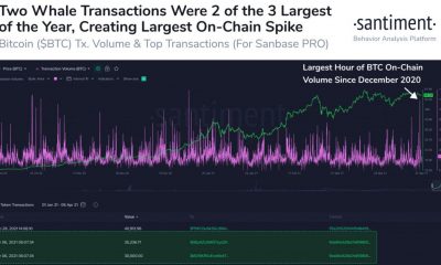 Lo que significan las últimas transacciones de ballenas BTC para el repunte de precios