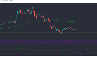 Análisis de precios de Bitcoin Cash, IOTA, Ethereum: 29 de mayo