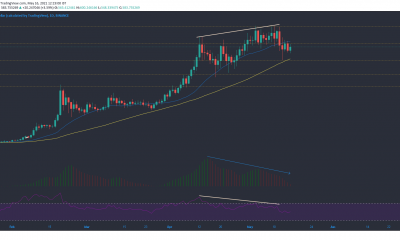 Binance Coin, XRP, Dogecoin Análisis de precios: 16 de mayo